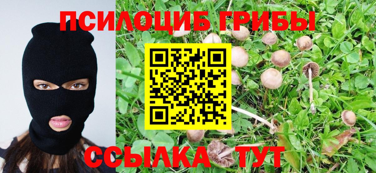 Галлюциногенные грибы ЛСД Лангепас