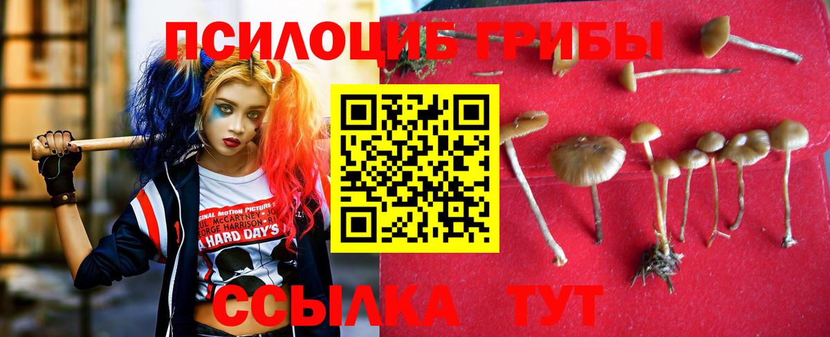 Галлюциногенные грибы GOLDEN TEACHER  Галлюциногенные грибы Psilocybine cubensis  Вход с VPN  Лангепас 